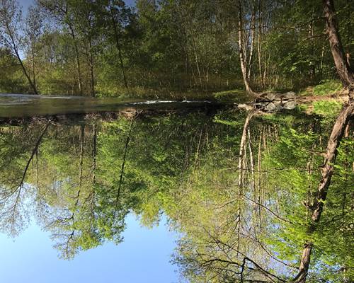 Nos  alentours, les rives du Lignon