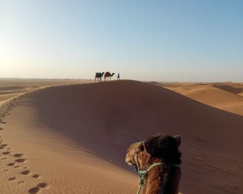 IMG-20250425-WA0019