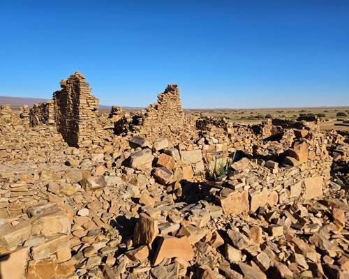 IMG-20250210-WA0030