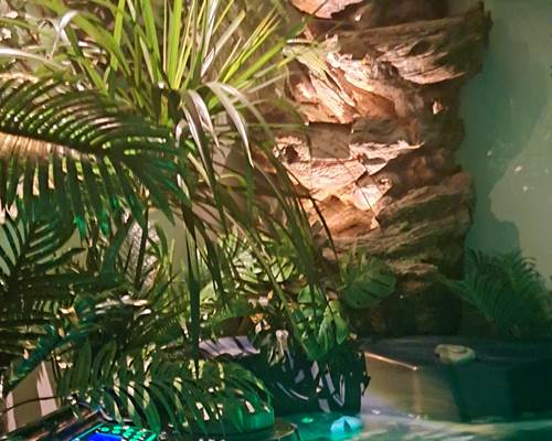 517398120_4339577629596705_3329137714358542193_n