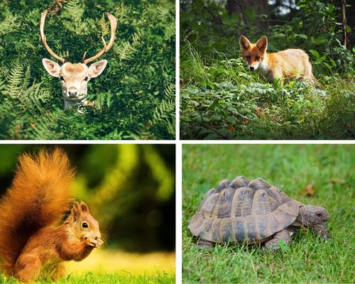 photo privatisation (1)