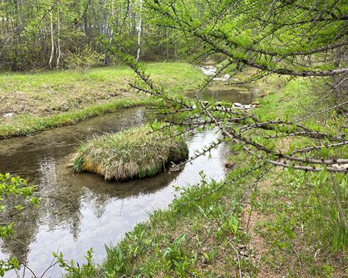 Chemin des sources
