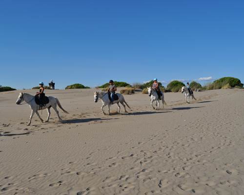 Les Dunes