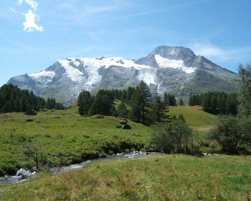 Plan des violettes - Re´serve Villaroger