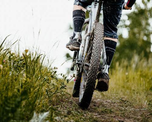 istockphoto-812498388-612x612