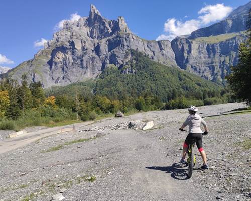 d4ce71f3-d268-4ffa-ae3c-f09a63f06749