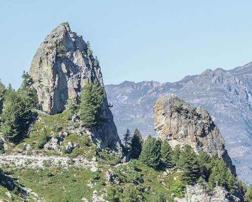signal-des-tetes