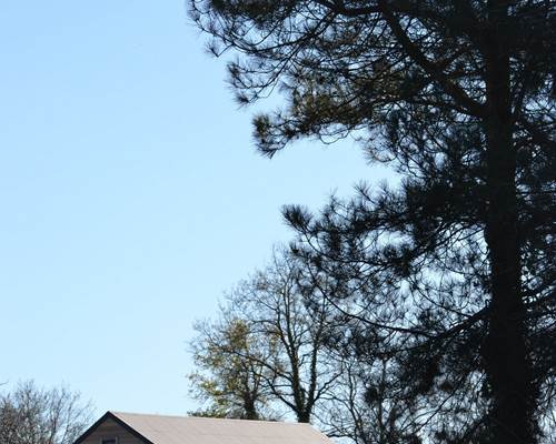 Cabane de l'Ecureuil, vue du parc