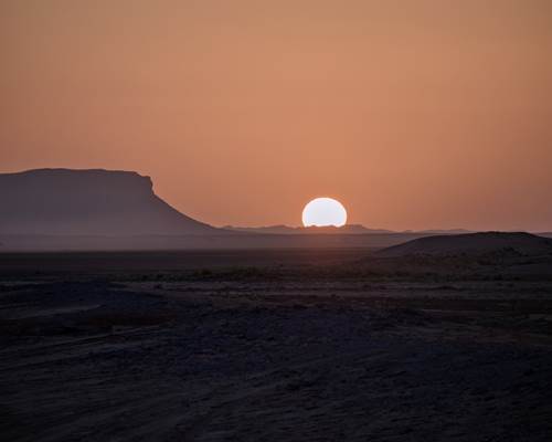 IMG-20250303-WA0013