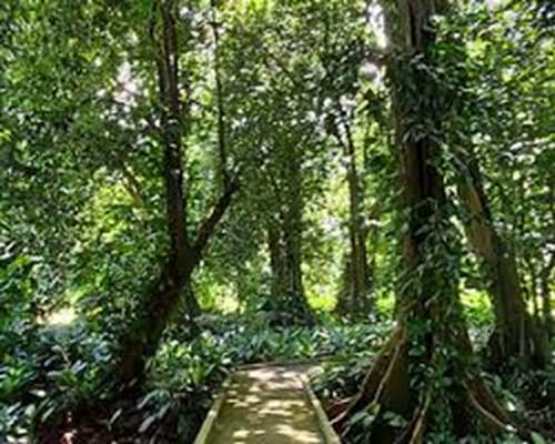 JARDIN B
