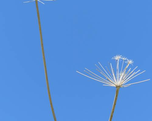 P1210087
