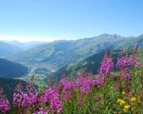 téléchargement (10)