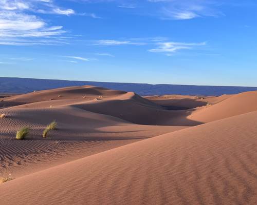 motion_photo_8638853447837731997