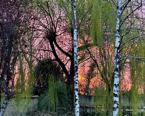 Jardin sud coucher de soleil_La Cavalerie