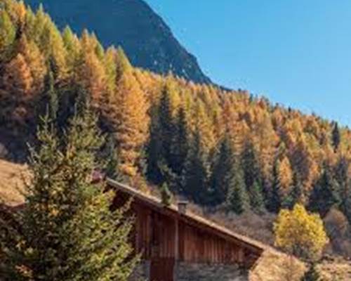 téléchargement (9)