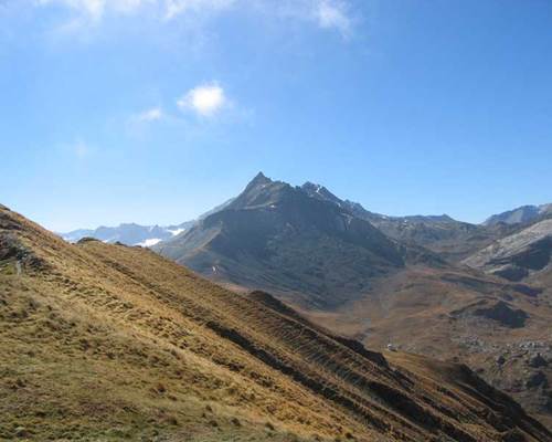 Crête arselle