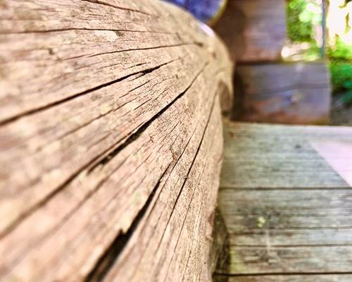 IMG_3963-scaled