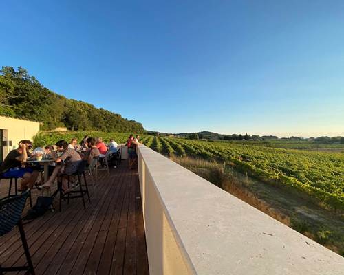 terrace vue vignes 2