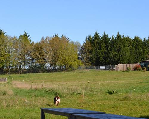 Cabane du Cerf, vue du parc de la terrasse
