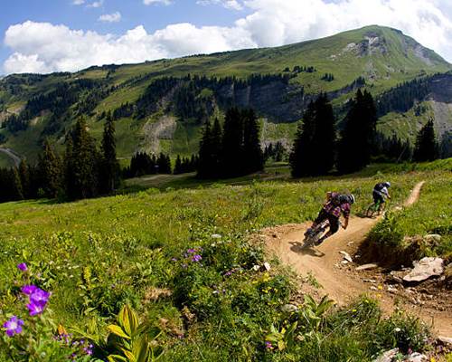 istockphoto-168580518-612x612