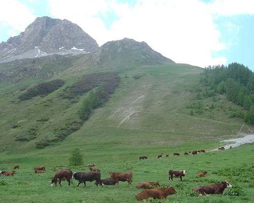 rocher charvet