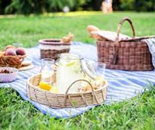 Panier Pic Nic - Photo non contractuelle