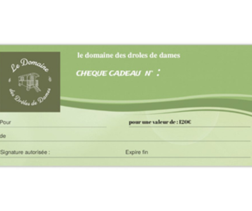 cheque-cadeau-domaine des droles de dames.png