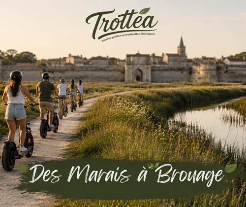 Des marais à Brouage2.jpg