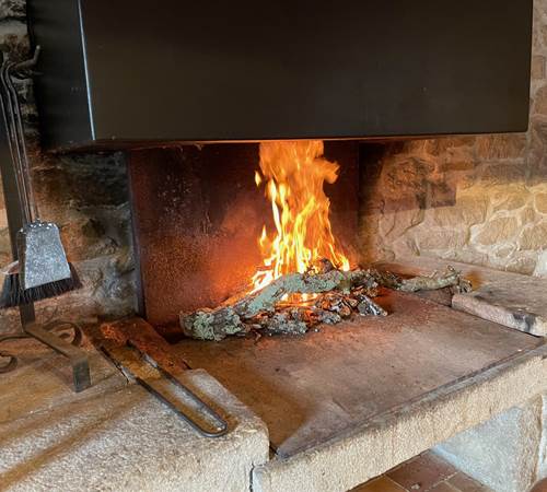 Feu de chéminée-Petit Gîte-galerie