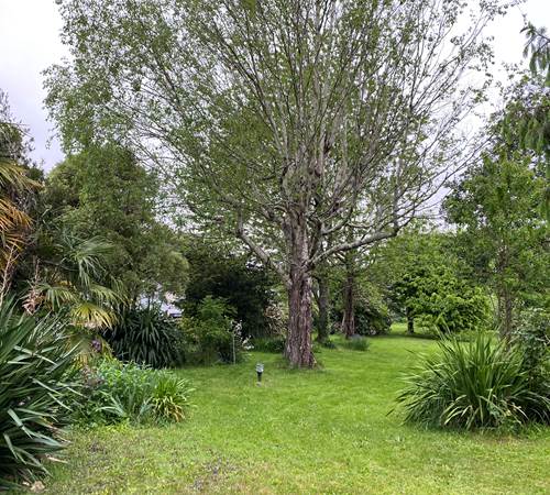 Sans titre-photo-page