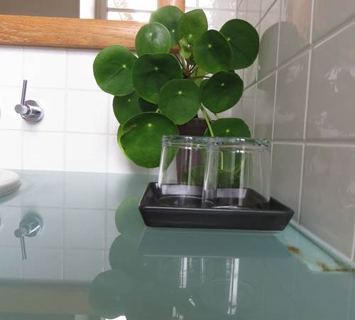 RKGD5846 (2)-galerie