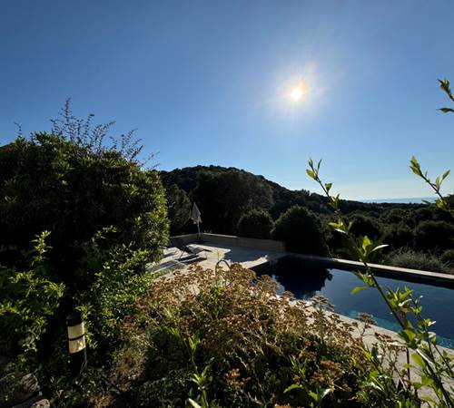 La piscine juin 2024-galerie