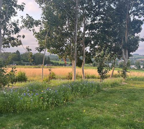 IMG_3488 (1)-galerie