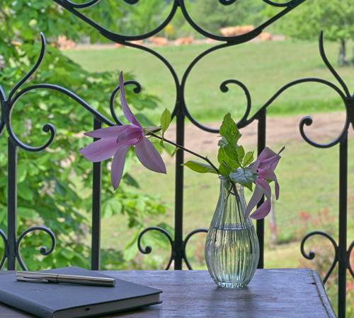La chambre Marguerte - La vue-galerie