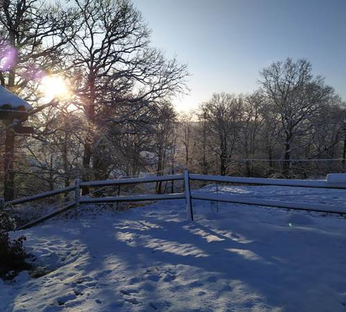 IMG-20210124-WA0004