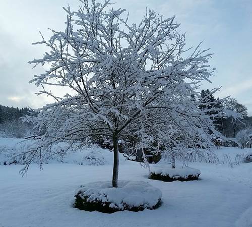 20200228_074034-galerie