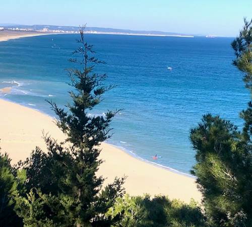 Vue plage de Port Leucate depuis les sentiers du littoral-galerie