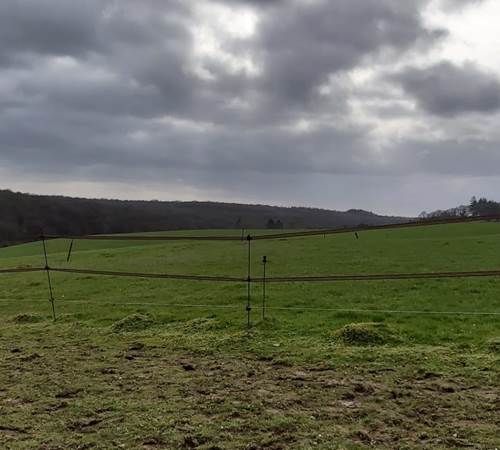 IMG-20210321-WA0007
