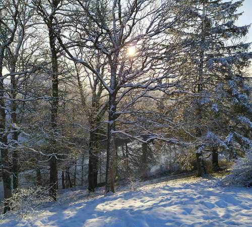 IMG-20210124-WA0041
