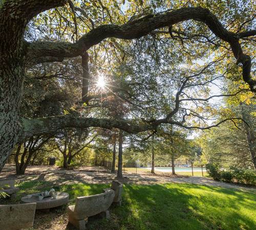 gîte avec grand jardin-photo-page