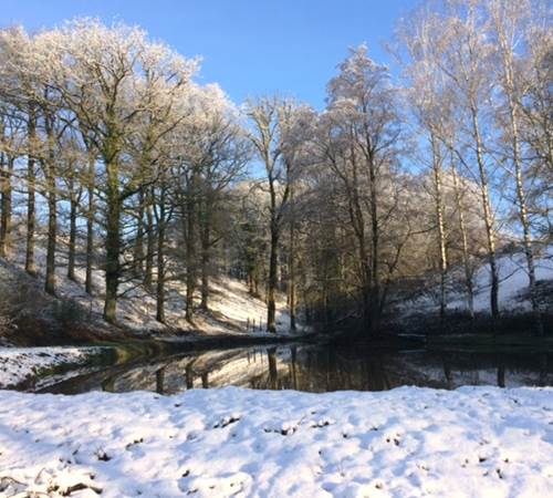 Paysage hivernal magnifique