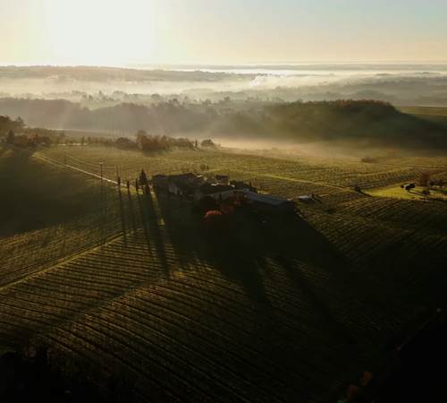 domaine matinée-photo-page