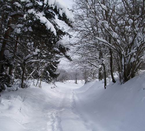 chemin enneigé dans notre hameau-galerie