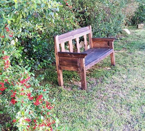 un banc propice aux rêveries-galerie