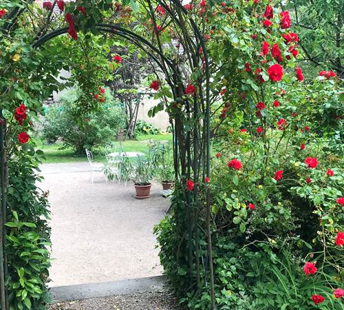 Roses
