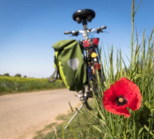 vélos