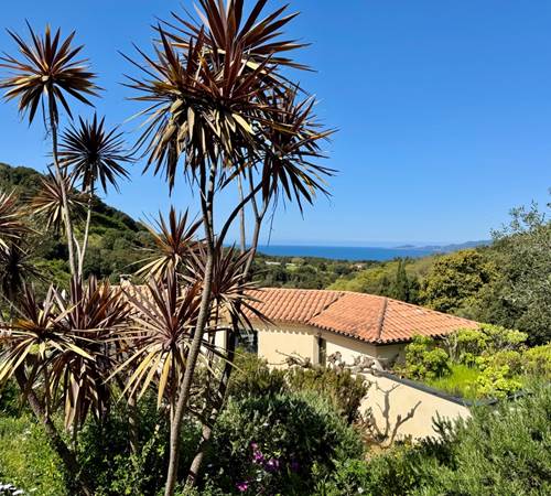 vue générale-galerie