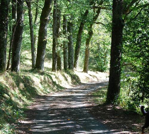 partons en balade sur le chemin des Fantaisies au ranch des Lacs-photo-page