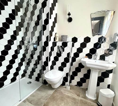 E785D8CC-004A-4AE6-9AE5-CE3B1F65B08F-galerie