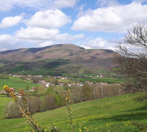 La vue sur la propriété